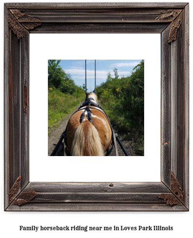 family horseback riding near me in Loves Park, Illinois